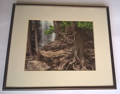 Jay Anderson Photograph Minnesota Gooseberry Falls Framed Art Forest Waterfall