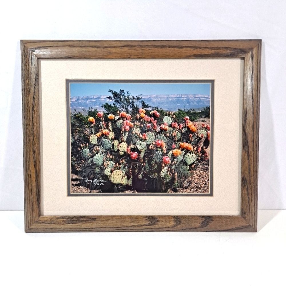 Harry Bowden “Boquillas Spring” Framed Photo & Matted Limited Edition Signed