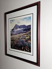 Signed Limited Edition Aaron Goldenberg 35mm Art Photograph, Utah 39×24 Framed
