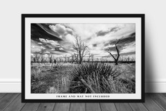 Southwest Photography Print – Mesa Verde Colorado Landscape Black and White