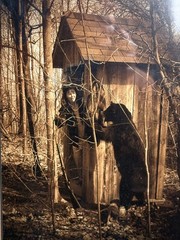 Signed Framed Limited Ed Humor Sepia Photo – Bear Waiting Outside the Outhouse