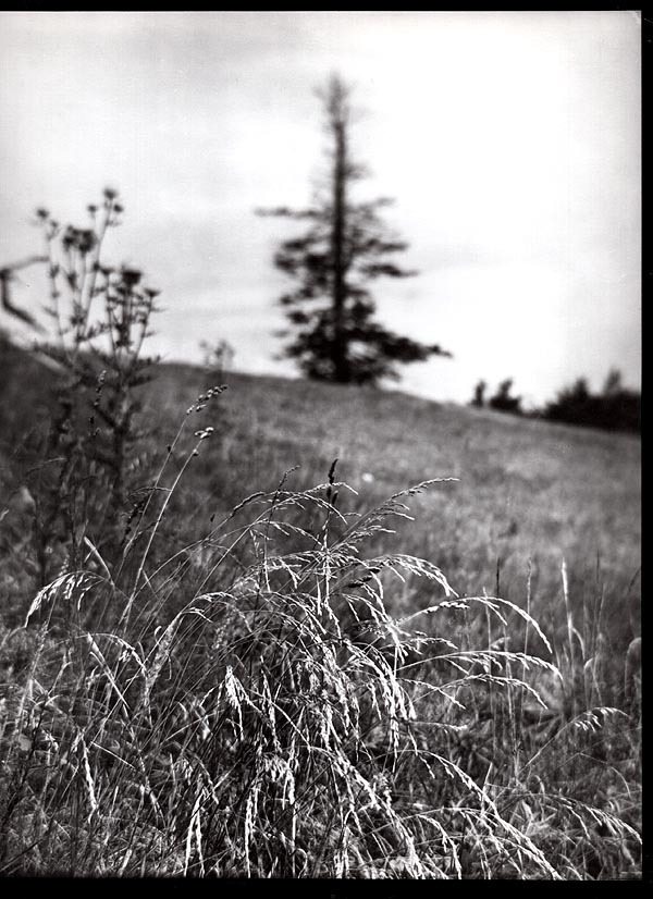 Josef Sudek Photograph – Landscape
