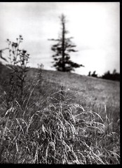 Josef Sudek Photograph – Landscape