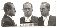 Photograph police photo/Mugshot, Paul Raufler, arrested 1951 in Vienna