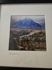 Winter / Summer 2-Phase 3D Picture Signed by Michael Brown