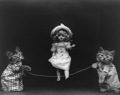 cat kitten kitty art print Harry Whittier Frees 8×10 vintage photo picture #1