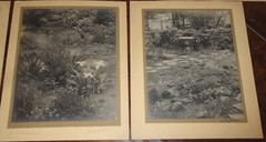 6 Vintage Signed Matted Sepia Photographs ~ Montclair NJ Botanical Gardens