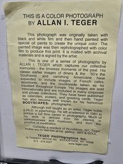RARE vintage Allan I. Teger Painted Photo Framed Photography Art