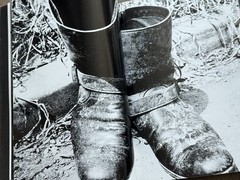 🎈MEGA RARE! Daido Moriyama – Light and Shadow 1982, First Edition! Great Copy