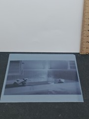 5##Photo negative film -Vintage- Kissing women – Lesbian couple – Love – Kiss