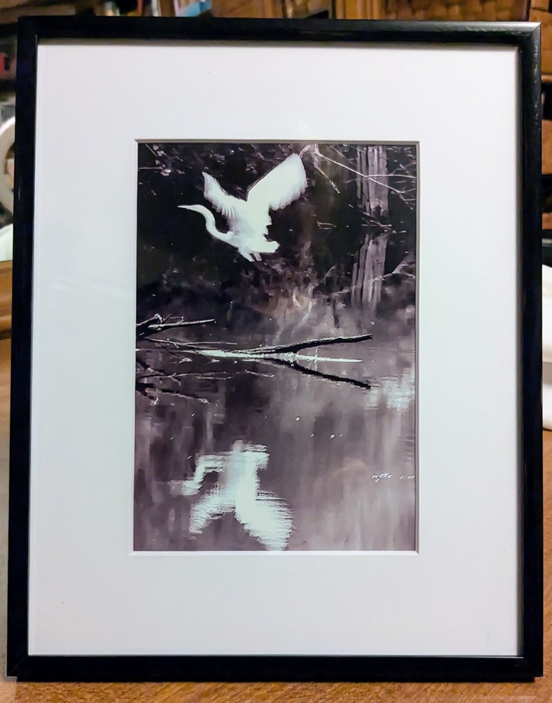 Limited Print By Donna T, The Swamp Ghost , 1/ 50 Signed, Matted And Framed