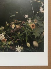 ALEC SOTH – CRY BABY (2005) signed and numbered print – ed 50 – MAGNUM PHOTOS