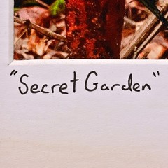 MICHAEL RAY Original Vintage Signed NY Secret Garden Landscape Photograph Print