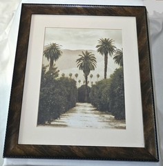 Serene Palms Framed Photograph Palms View by John Bilecky Vintage Art 2005