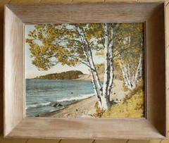 M.J. HUMPHREY, Grand Marais, MN MINNESOTA BIRCHES ON LAKE SUPERIOR HAND TINTED