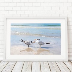 Birds on the Beach Photo, Siesta Key Photography Wall Art Beach House, Wildlife