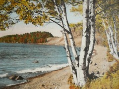 M.J. HUMPHREY, Grand Marais, MN MINNESOTA BIRCHES ON LAKE SUPERIOR HAND TINTED