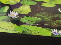 Peter Lik “Awaken” Limited Edition, Framed, Signed Photograph! #141/950 WITH COA