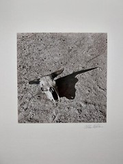 ARTHUR ROTHSTEIN (1915–1985) – Skull Bad Lands, South Dakota 1936