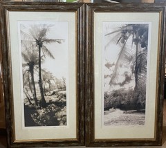 Framed Black & White Palm Tree Diptych Photographs Set of 2 Portrait