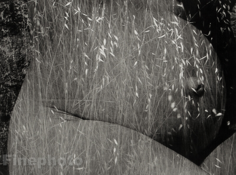 1953/86 RUTH BERNHARD Pregnant Female Nude Belly HARVEST Photo Lithograph Ltd Ed