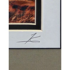 Grand Canyon Framed Signed Print 14×16 Matted Southwest Wall Art Decor