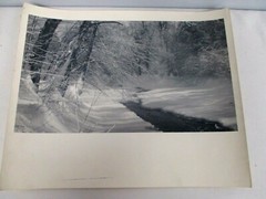 L. WHITNEY STANDISH PHOTOGRAPH SNOW COVERED TREES by STREAM ORIGINAL