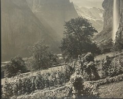 Antique GEBRUDER WEHRLI Staubbach Falls SWITZERLAND Waterfall Landscape PHOTO