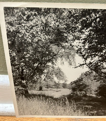 Arthur Gray Standard Oil Photographer Cleveland Ohio Americana Woodland Path Wow