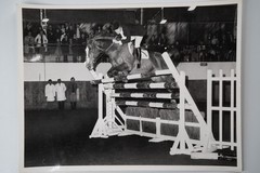 Vintage Film Photo France Equestrian Horse Show Jumping 18X24cm 1970