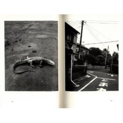 NOBUYOSHI ARAKI “Shun Setsu Sho ” 1999, 1st. edition with OBI good condition