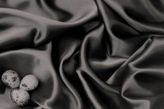 DOMINIC ROUSE Fine Art Gelatin Silver Photograph Birds Nest on Silk Ltd Edition