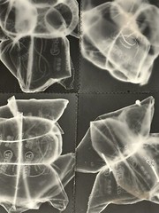 Unique Stitched Print – Cameraless Dark Room Photography 24 x 40 Inches