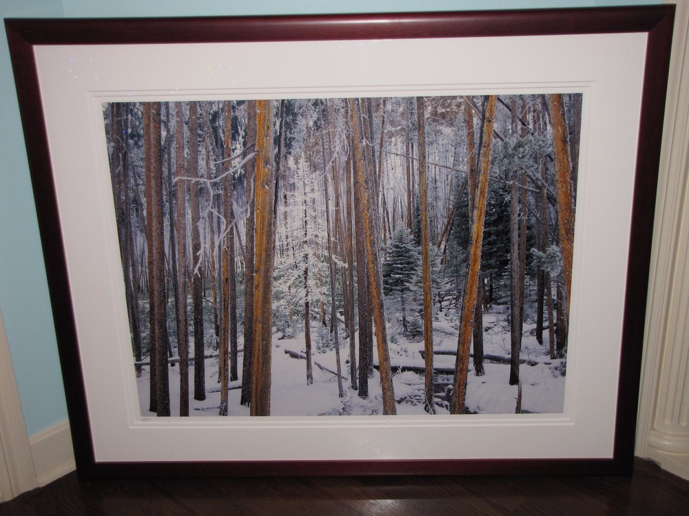 RODNEY LOUGH “The Eye Wanders” Yellowstone Photo 30×40 Signed SOLD OUT