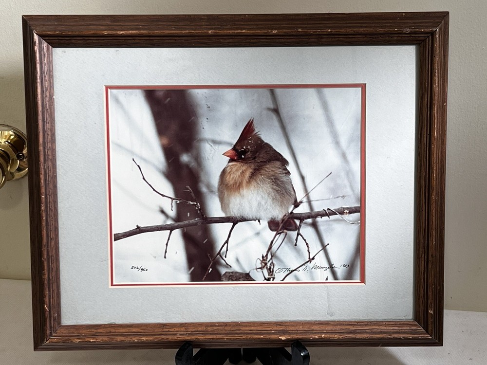 Thomas D. Mangelsen Framed Female Cardinal Signed no. 502 of 950