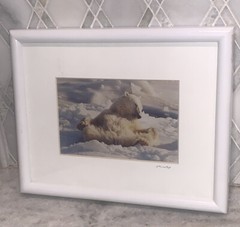 Vintage Photo Jim Stamates Polar Bear Kickin’ Back Framed Matted 10.25”x 8 3/8”