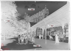 Vichy, Auvergne, Cars, Glass Plate Photos, Lot Of 5 Negatives 13X18 CM