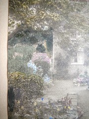 Early 1900s Wallace Nutting LARKSPUR Hand Tinted Colored Photo Signed 7″ x 9″