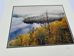 Jay Steinke Hungry Jake Lake Fall Leaves Minnesota Signed Photo Matted 19×16