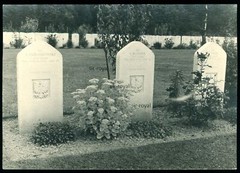 Kriegsgrab WK2 – Polnische Soldaten – gefallen 1945 – Foto 10x7cm
