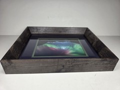 White Satin Todd Salat Framed And Signed Photograph Print