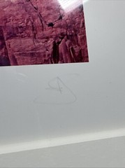 1998 Jim Laser THE LASER WORKS Photography Art Canyon #600 Framed and Signed