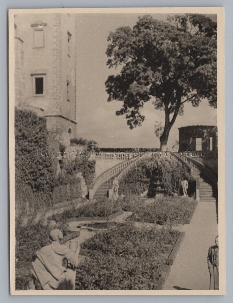 Würzburg 1949 Marienberg Garden Old Photo 1940s