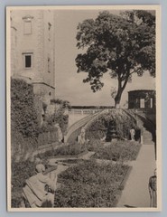 Würzburg 1949 Marienberg Garden Old Photo 1940s
