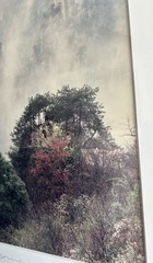 Keith Guo Ji Liang Framed Photograph, ‘Mt. Tian Zi in Mist’ MCM , pencil Signed