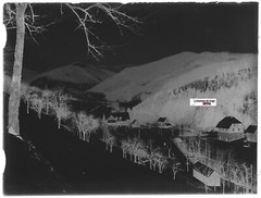 Landscape, Mountain Winter, Plate Glass Photo, Negative Antique Black & White