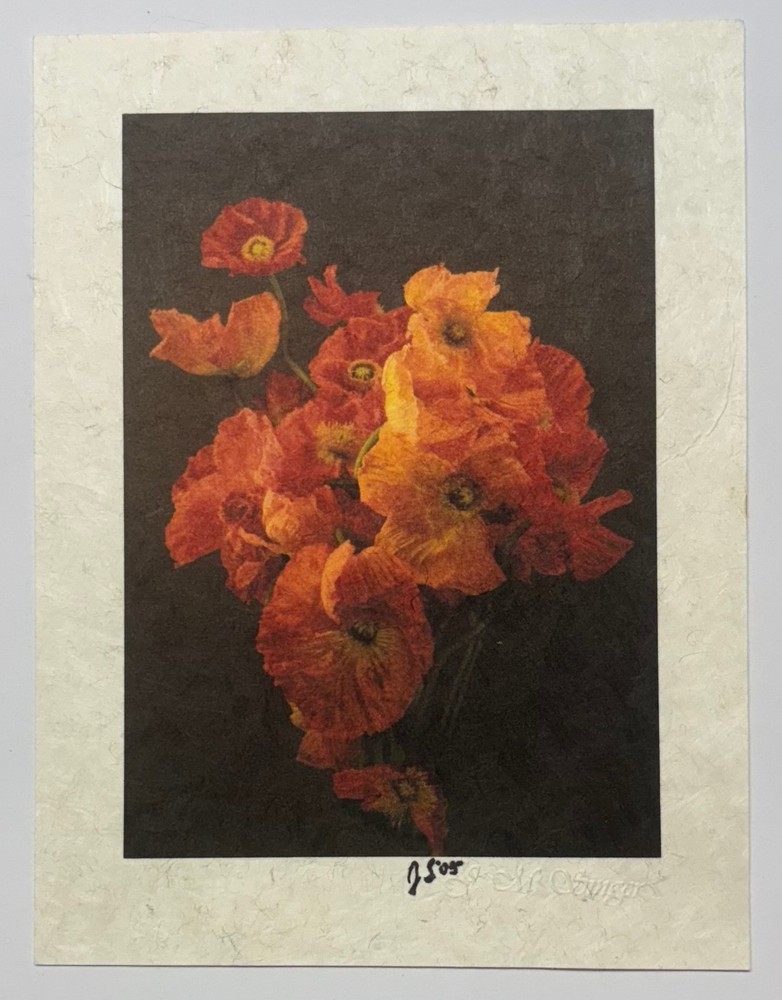 Vintage JONATHAN SINGER Orange POPPIES Bouquet FLOWER Botanica Signed PHOTOGRAPH