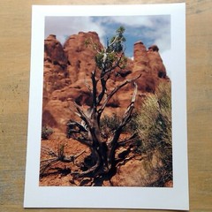 Utah desert landscape Epsom photo paper 8½” x 11″ print image 7″ x 9¼”