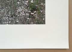 STEPHEN SHORE s/n photograph (2009) ed of 40 – Two x Two Portfolio amfAR