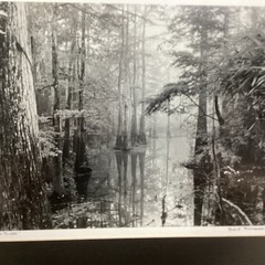 Blair Pittman: “Old River” – Original Gelatin Silver Print Photograph